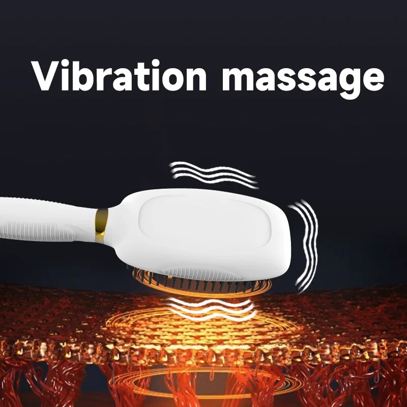 Electric Anti static Hair Comb - đánh giá và giá Hair Care Daily