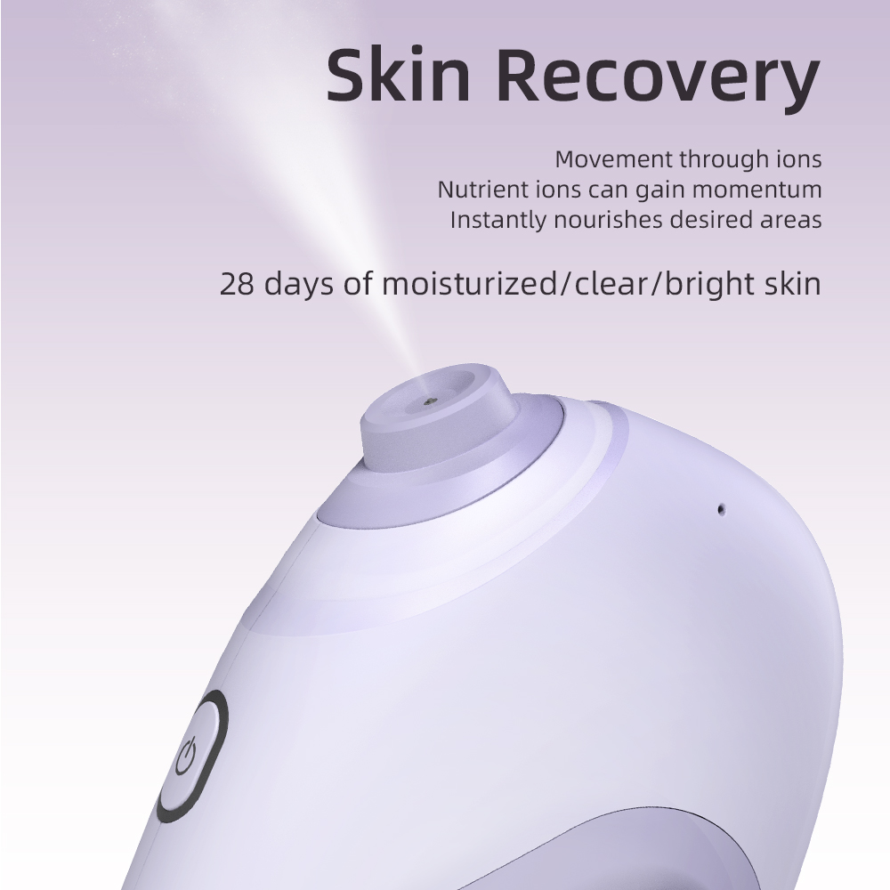 Nano Facial Sprayer Water Stea - đánh giá và giá Hair Care Spray
